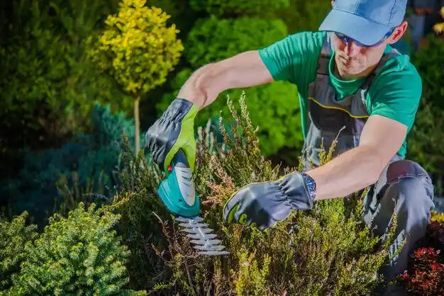 landscaping services Carrollton